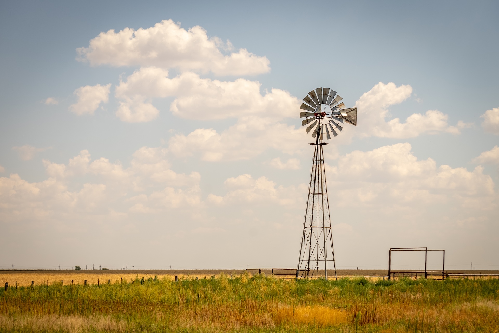 Texas Windmill